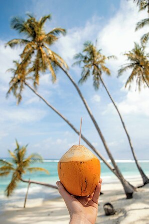 Beach - Private Rooftop Pool 4 BR 4.5 BTH Townhouse – Close to  Beaches, Town & Cenotes (Tulum)