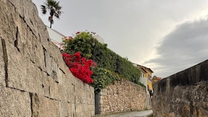 A cobblestone pathway flanked by stone walls with a palm tree and red flowers in the background. - Charming Duplex in Foz do Douro | Near Passeio Alegre & the Sea (Porto)