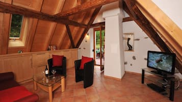 Fernseher, Kamin, Tischtennisplatte, Stereoanlage