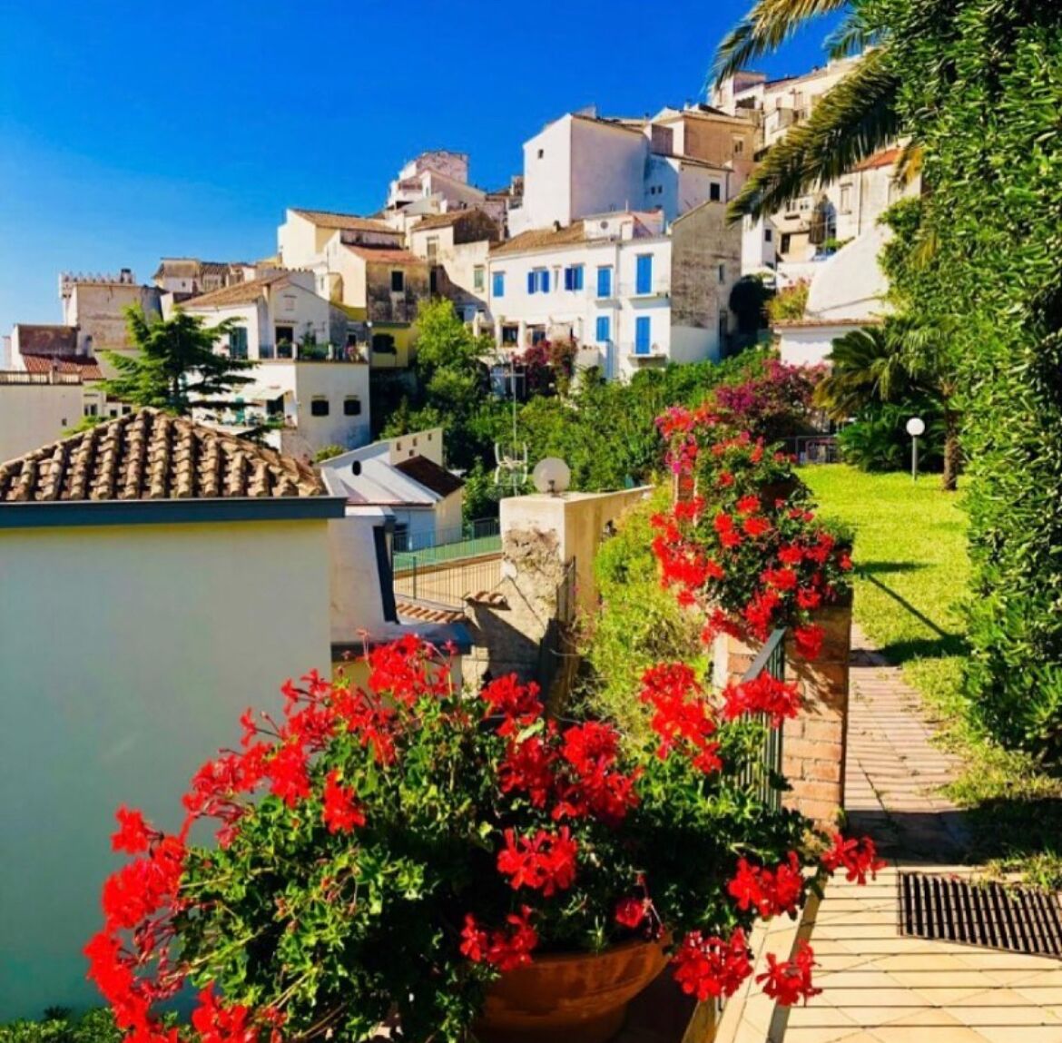 Parco della struttura