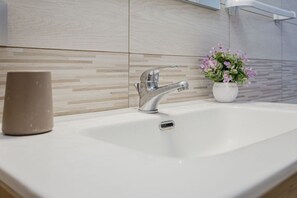 Shower, hair dryer, bidet, towels