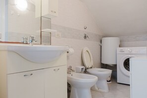 Shower, hair dryer, bidet, towels
