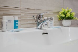 Shower, hair dryer, bidet, towels
