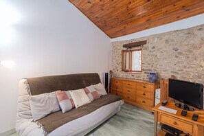 TV, fireplace, DVD player