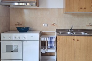 Fridge, oven, stovetop, cookware/dishes/utensils