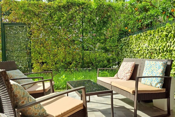 テラス / パティオ