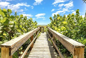 Une promenade en bois traverse une zone verdoyante et luxuriante, bordée de chaque côté d’une végétation dense.