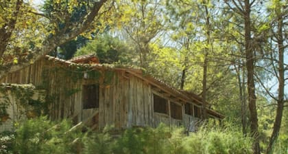 Amazing 4-Cabin "Bed & Breakfast" in Chimaltenango by Johnson