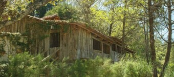 Amazing 4-Cabin "Bed & Breakfast" in Chimaltenango by Johnson