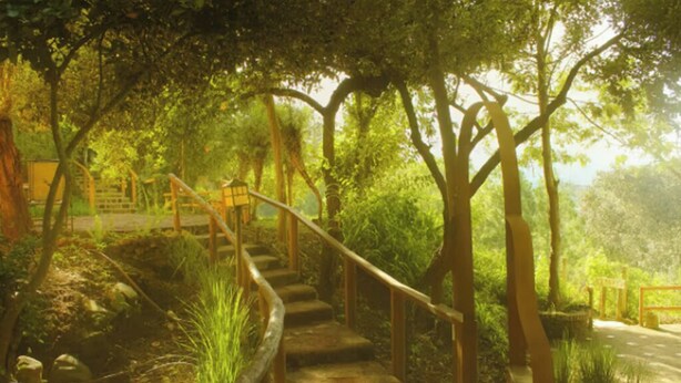 A stone staircase surrounded by lush greenery and trees. - Amazing 4-Cabin "Bed & Breakfast" in Chimaltenango by Johnson (Chimaltenango)