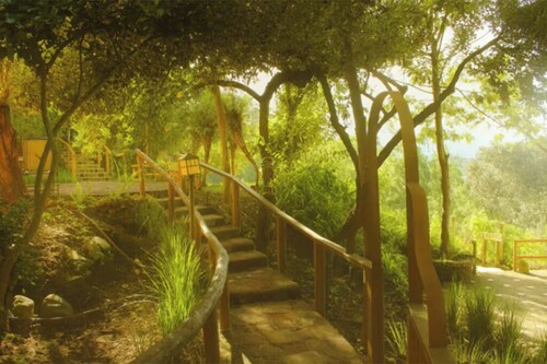 Amazing 4-Cabin "Bed & Breakfast" in Chimaltenango by Johnson