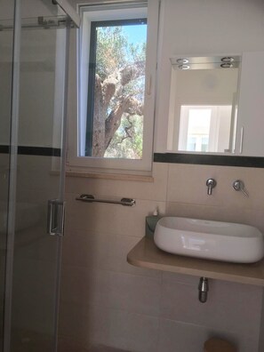 Regadera, toallas, papel de baño