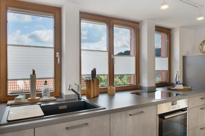 Fridge, oven, stovetop, dishwasher