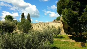 Comfort-Apartment, Klimaanlage, Stadtblick | Ausblick vom Zimmer