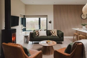 Smart TV, fireplace, books, stereo