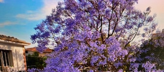B&B Garden Grazia