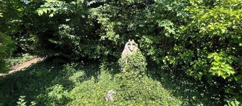 Discover a little paradise in a park-like garden in the heart of Bad Doberan.