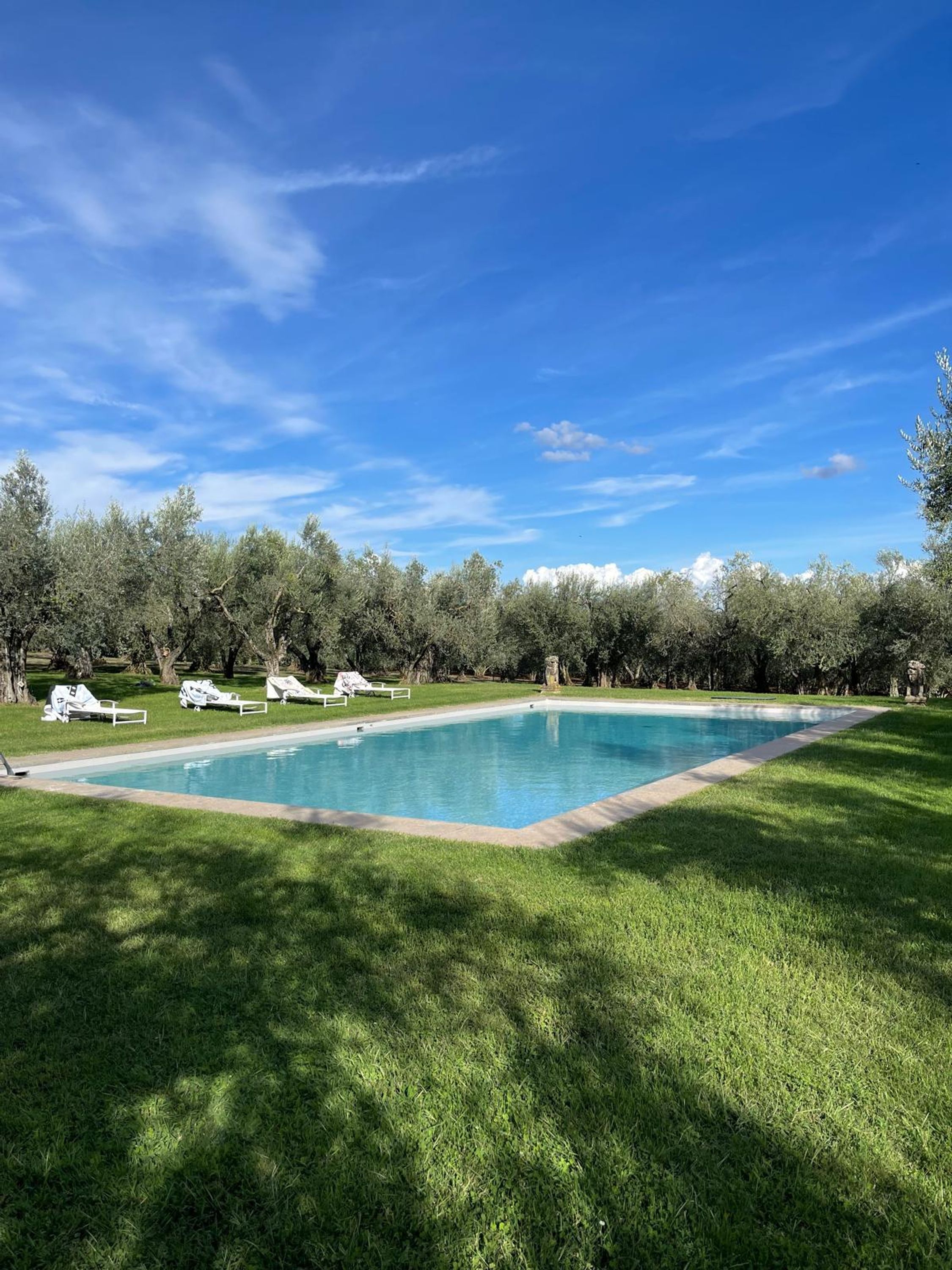 A rectangular swimming pool with a stone border, surrounded by a well-maintained lawn and trees.