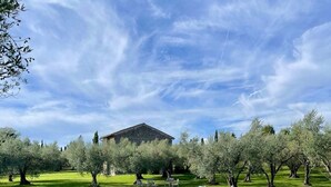 A swimming pool with a stone sculpture, surrounded by grass and trees, with a building in the background. - New Estate of Joy a Magnificent Historic Villa Near Rome on Glorious Ground Pool and Olives Galore (Ronciglione)