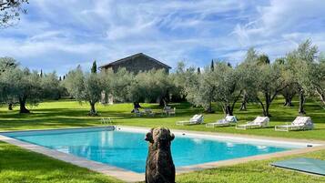 7 bedrooms, Internet