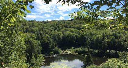 Isolated eco-lodge in the middle of nature: Le Renard