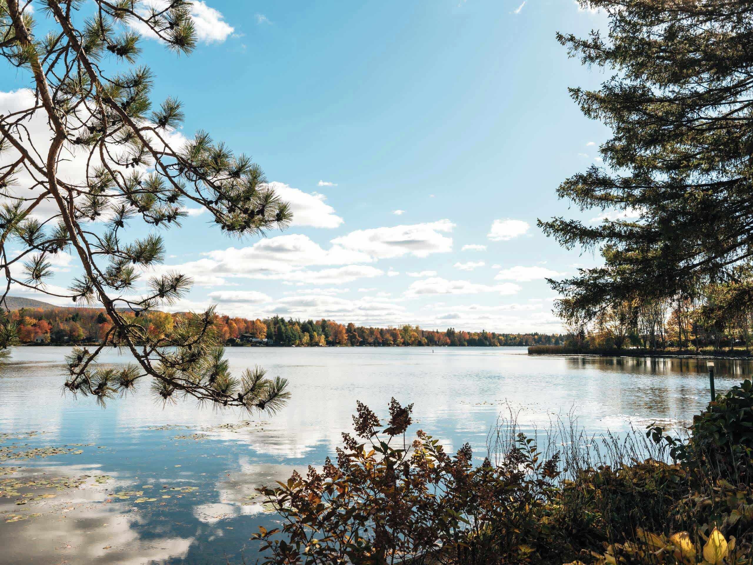 A calm lake with trees reflecting in the water, surrounded by a forest with autumn foliage.