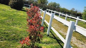 A grassy area with a white fence and a red bush. - Lady Rose room (Maisonnais)
