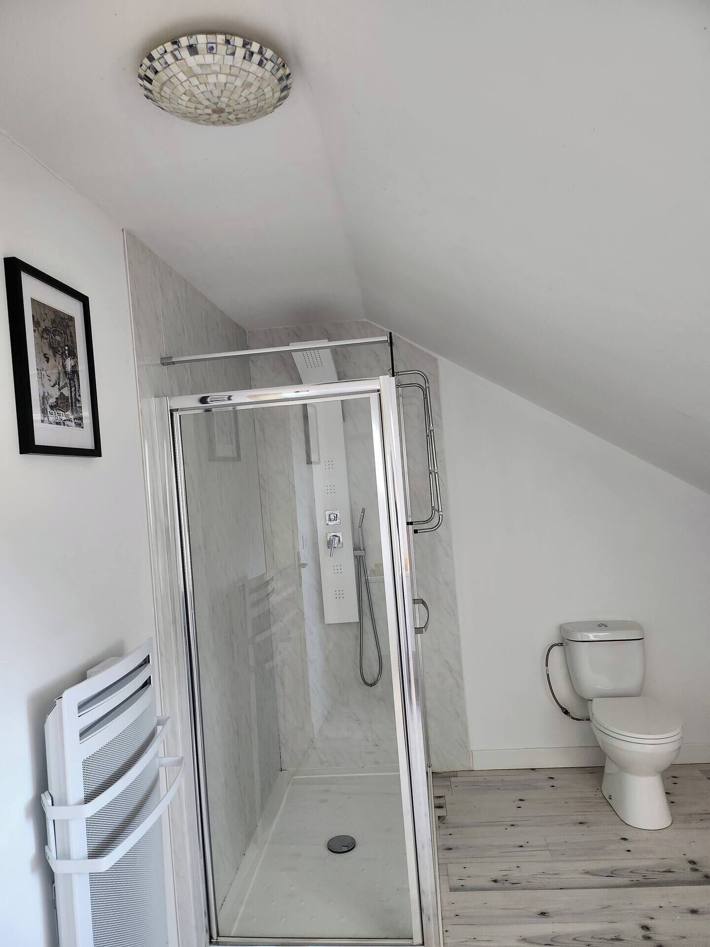 A modern bathroom with a glass-enclosed shower, a toilet, and a framed picture on the wall.
