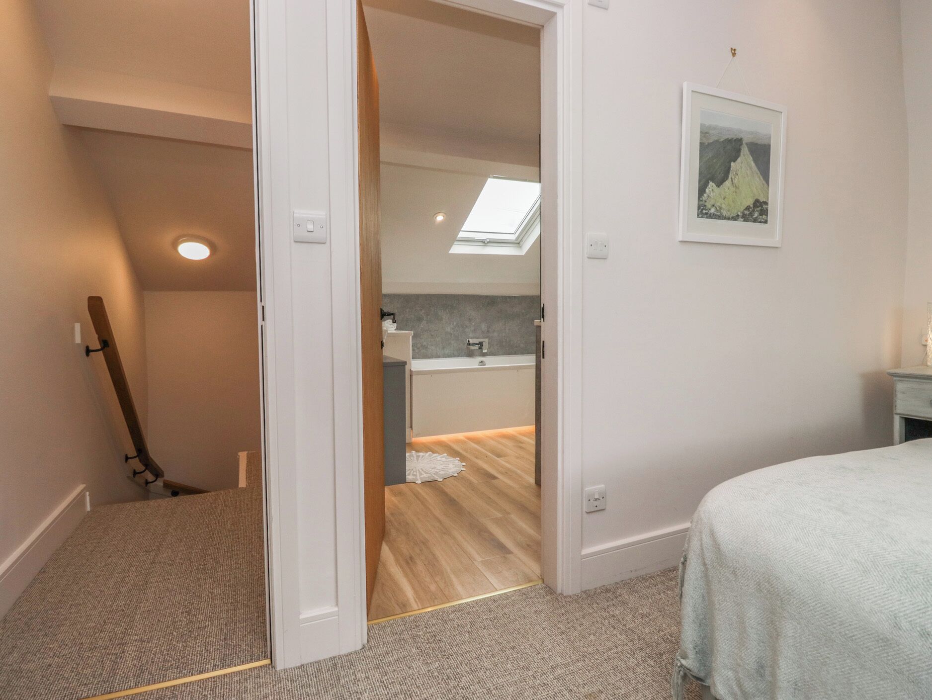 A bedroom with a bed, a bathroom with a shower, and a kitchen area with a skylight.