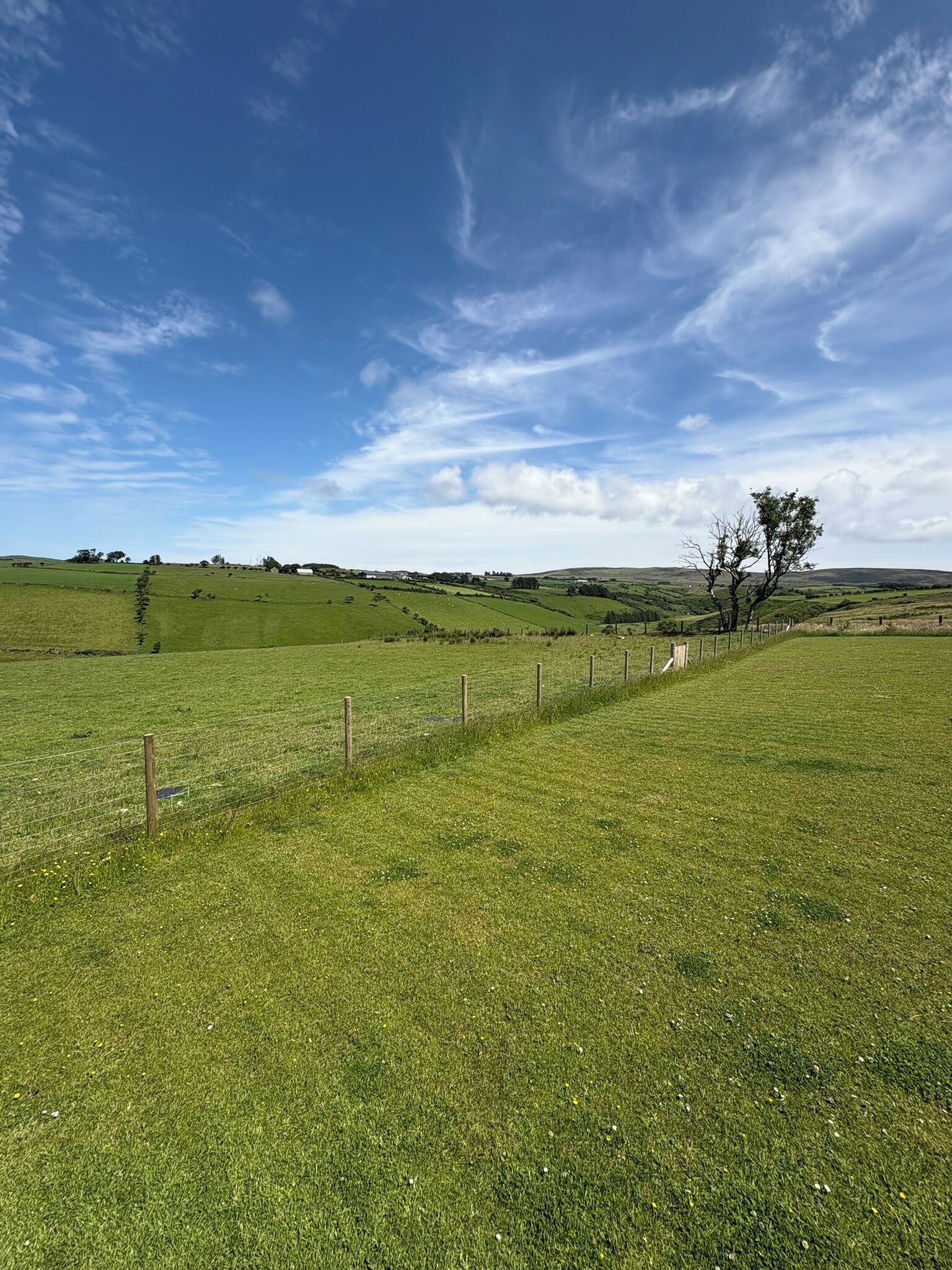 A rural landscape with a grassy field, a wooden fence, and a tree.