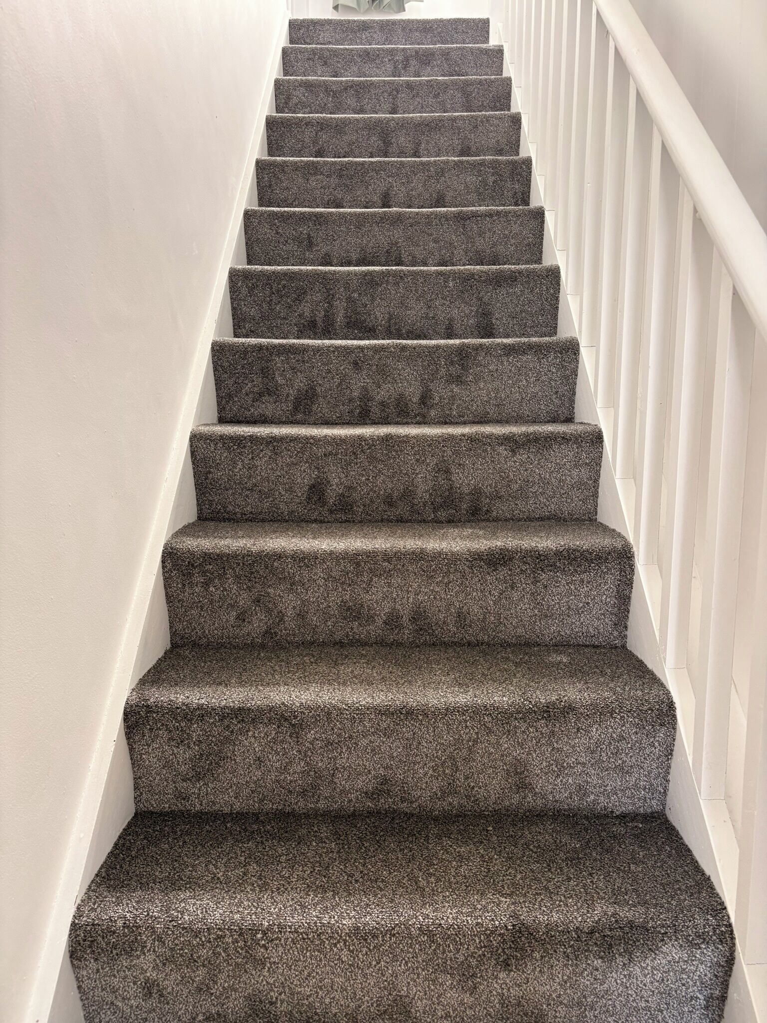 A staircase with carpeted steps and white railings.