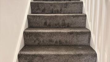 A staircase with carpeted steps and white railings.