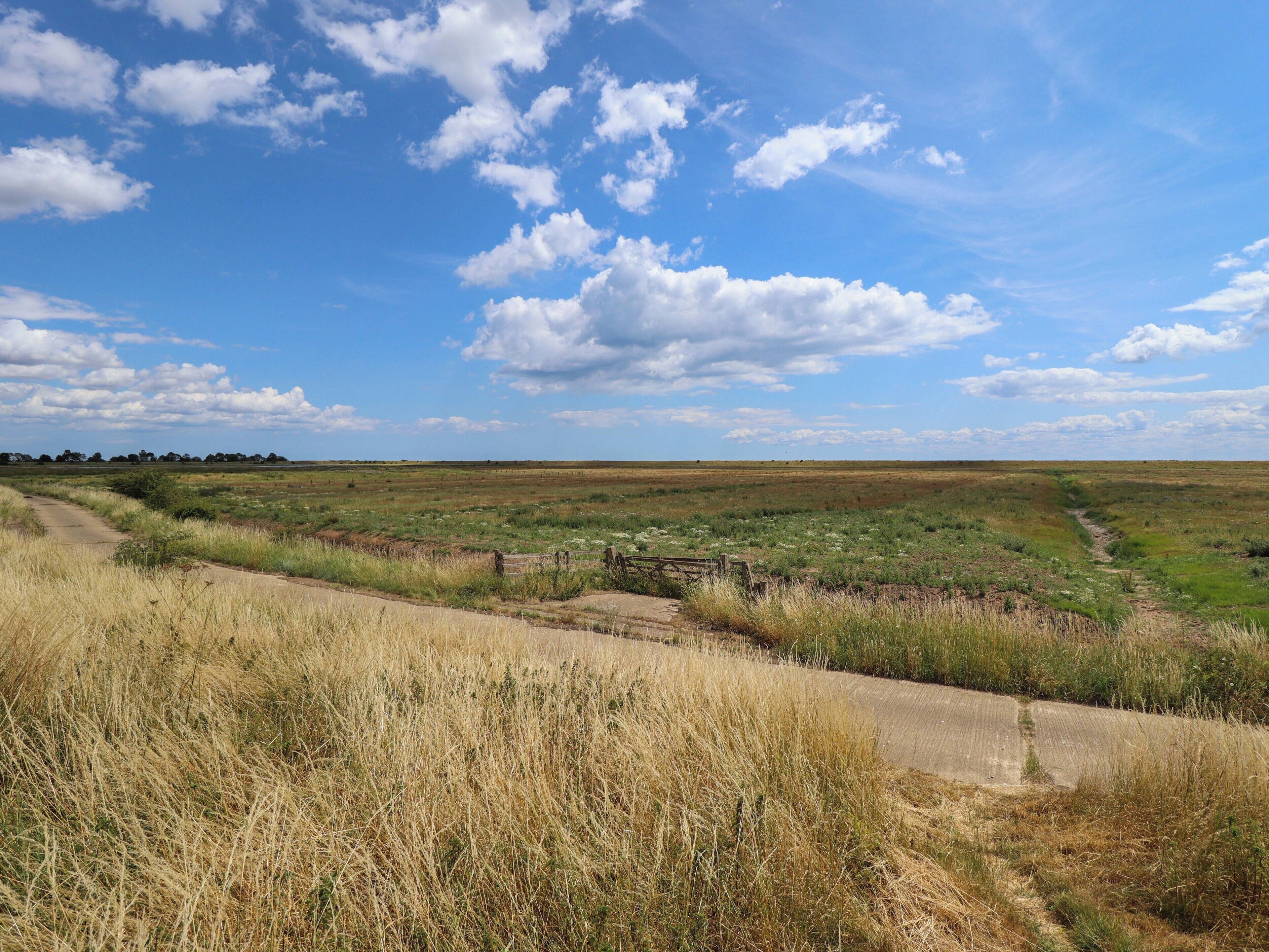 Paisaje rural con un camino de tierra, campos verdes y un cielo azul despejado con nubes.