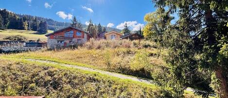 Àrea exterior de l'allotjament