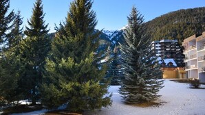 A snow-covered landscape with tall evergreen trees and a multi-story building with balconies.