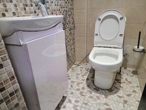Shower, hair dryer, bidet, towels