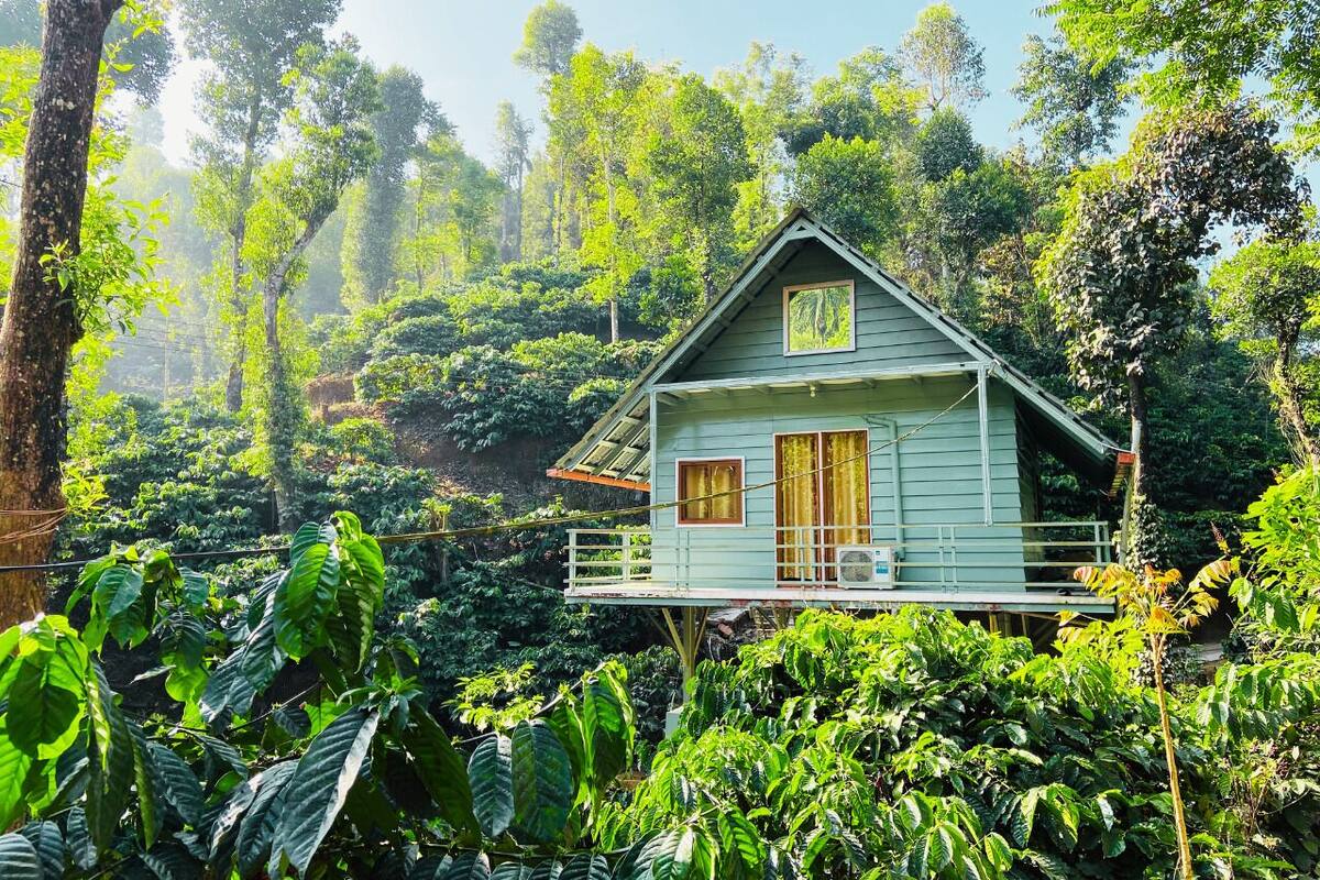 A house surrounded by lush greenery.