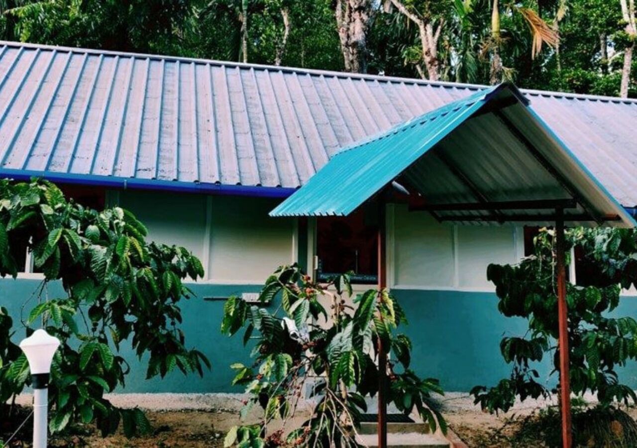 A building with a corrugated metal roof and a green and white exterior wall.