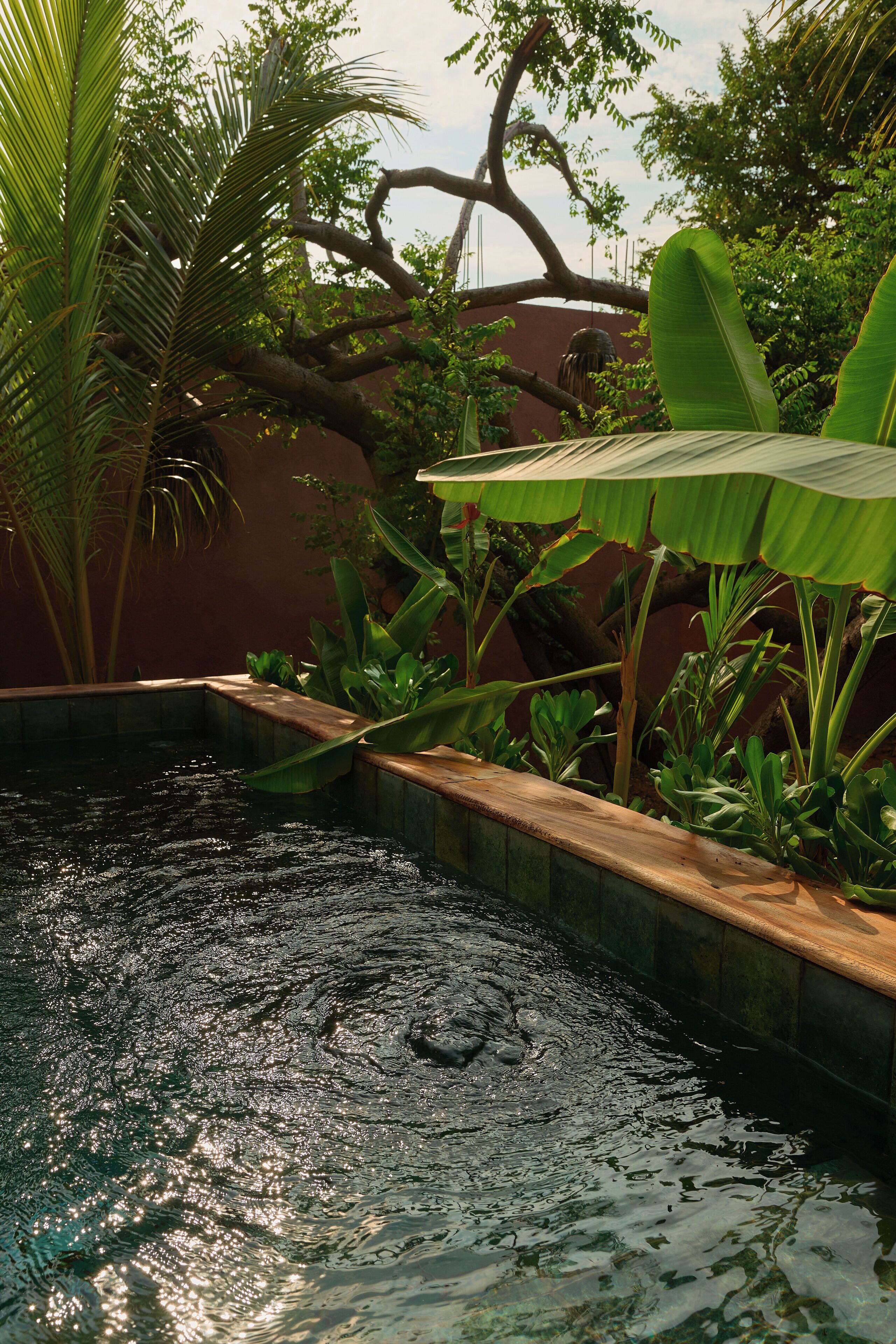 Photo - Punta Mozambique