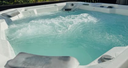Amazing 2-bedroom artist's home with serene backyard and hot tub!