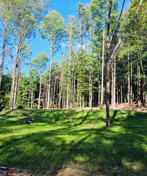 Àrea exterior de l'allotjament