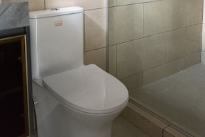 Hair dryer, towels, soap, toilet paper