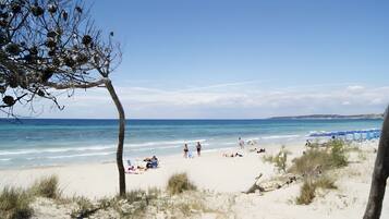 Playa en los alrededores