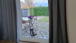 A room with a sliding glass door leading to an outdoor area with a patio table, chairs, and a dog.