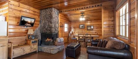 Télévision, cheminée, livres