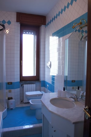 Bañera y ducha independientes, secador de pelo, bidet, toallas