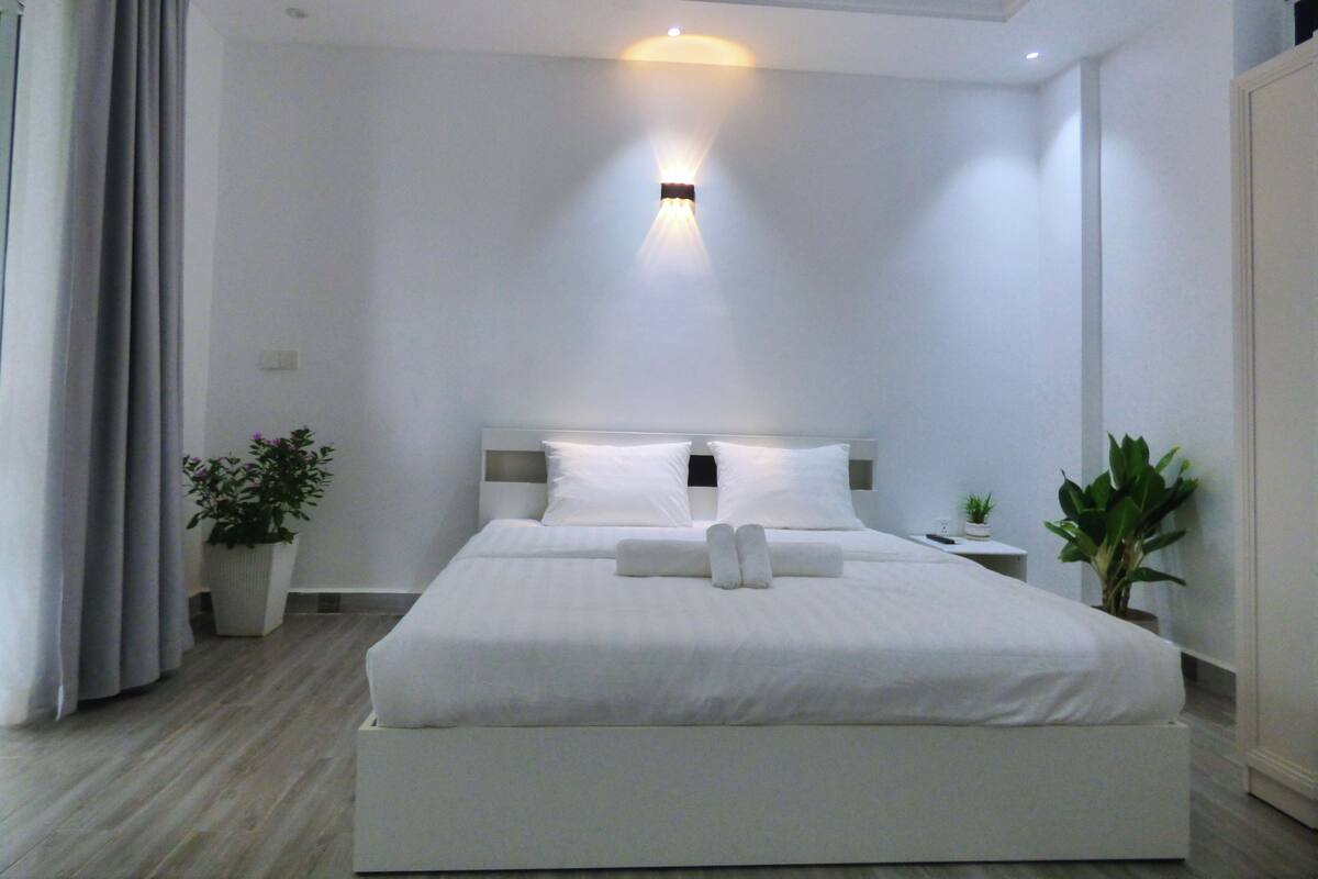 Una habitación de hotel moderna con una cama grande, una mesita de noche y dos plantas en macetas.