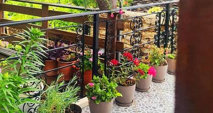 Silver Hill Guesthouse