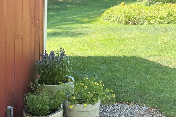 Enceinte de l’hébergement