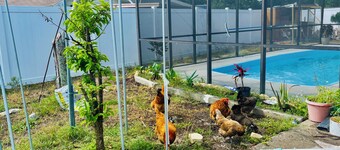Welcome to our comfortable and inviting 2-bedroom, 2-bathroom home